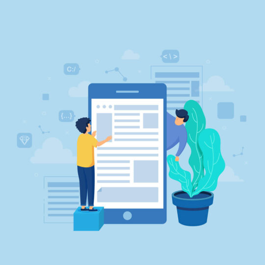 Online Media Management 540x540