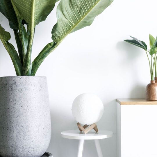 furniture post 2